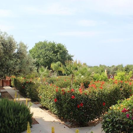 Kavalla Forest Villas Pafos Exterior foto